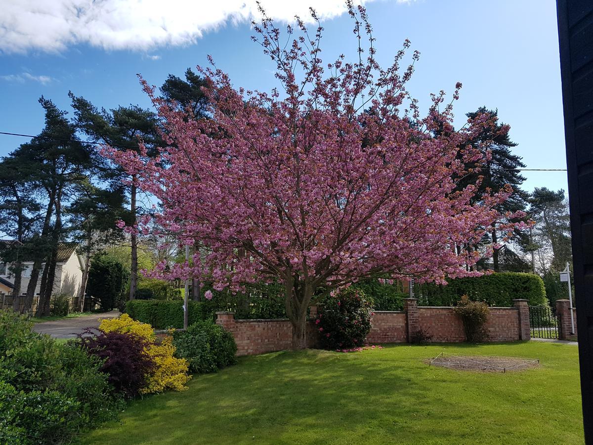 Leeward Bed & Breakfast South Walsham Екстер'єр фото